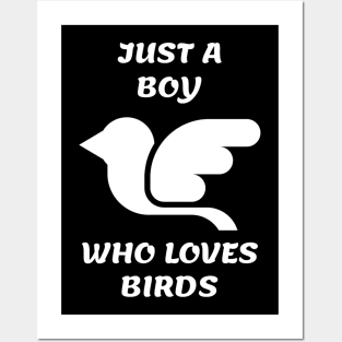 Just A Boy Who Loves Birds Posters and Art